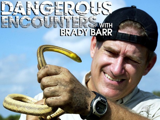 Dangerous Encounters With Brady Barr | Rotten Tomatoes