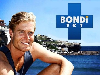 Bondi Vet Season 1 Rotten Tomatoes
