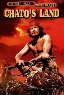 Poster for Chato's Land