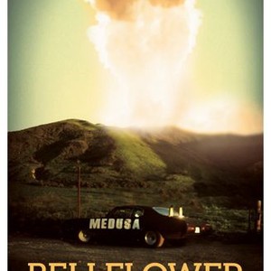 Bellflower photo 1