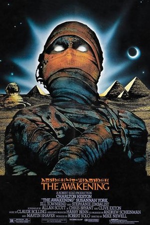 The Awakening poster