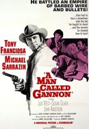 A Man Called Gannon poster image