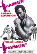 Hammer poster image