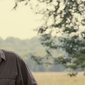Take Shelter - Rotten Tomatoes