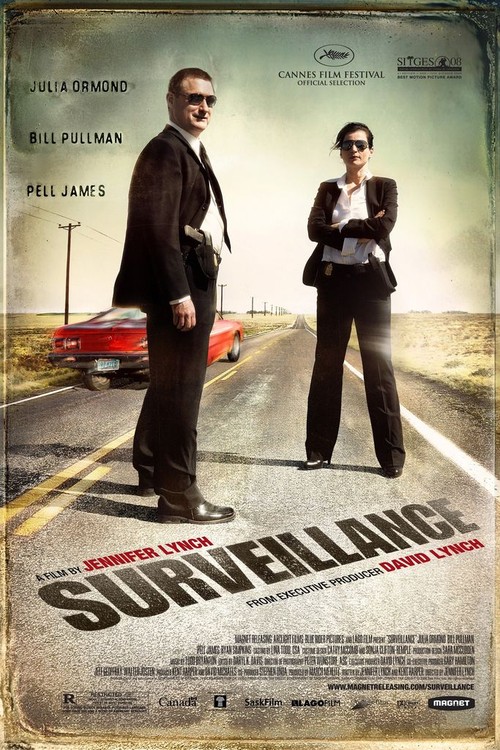Surveillance poster