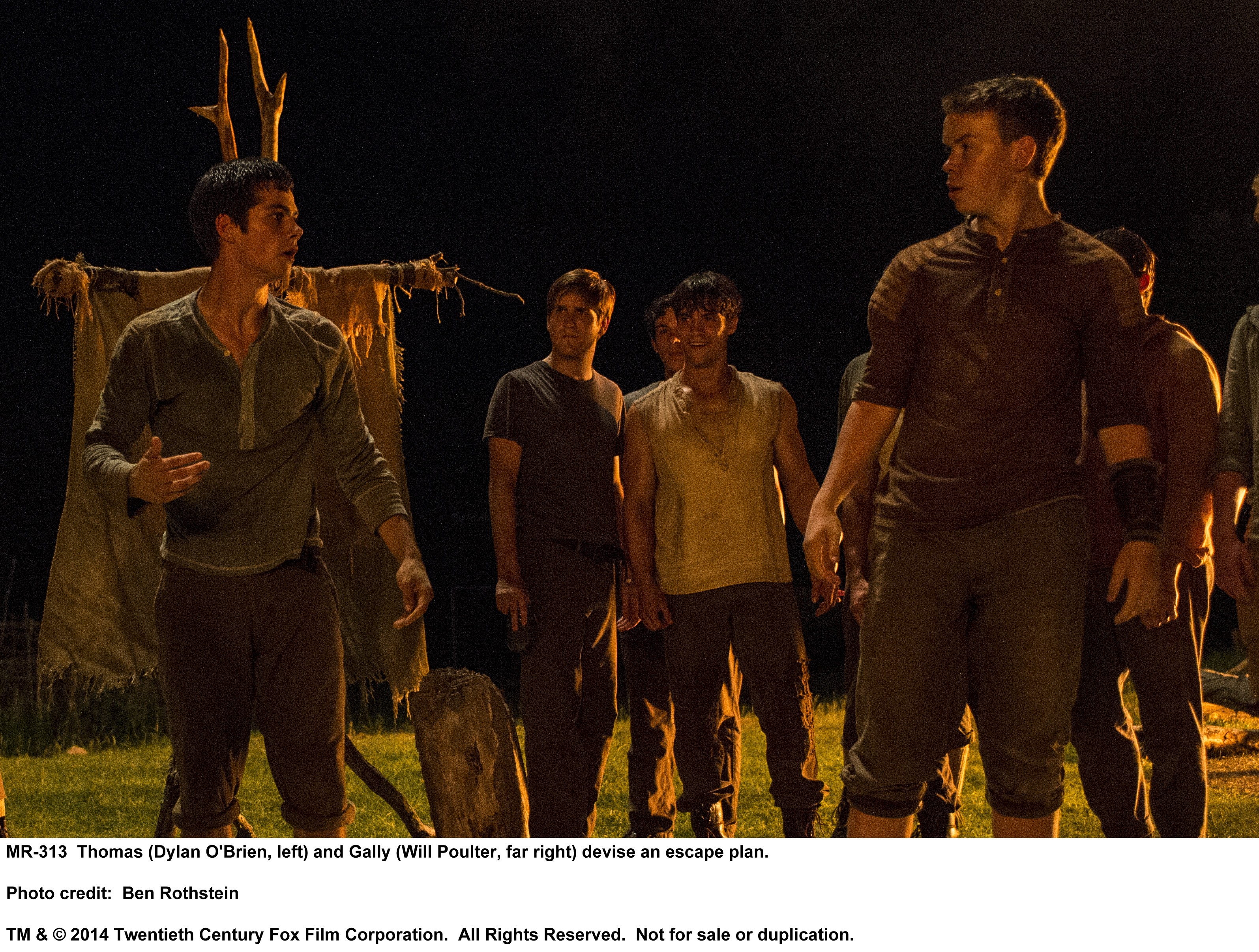  The Maze Runner [Blu-ray] : Dylan O'Brien, Aml Ameen