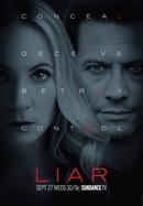 Liar poster image
