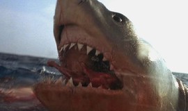 Jaws: The Revenge: Official Clip - You Got 'Im photo 2