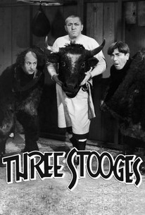 The Three Stooges Season 18 Rotten Tomatoes