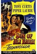Son of Ali Baba poster image