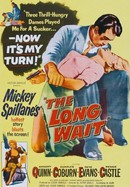 The Long Wait poster image
