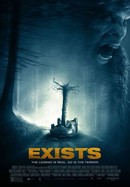 Exists poster image