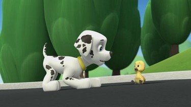Stuart Ralston Actor Stuart Ralston Paw Patrol