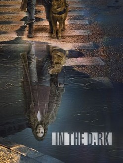 In the Dark Season 2 Rotten Tomatoes