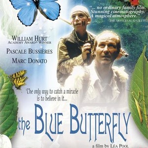The Blue Butterfly (2004) photo 10
