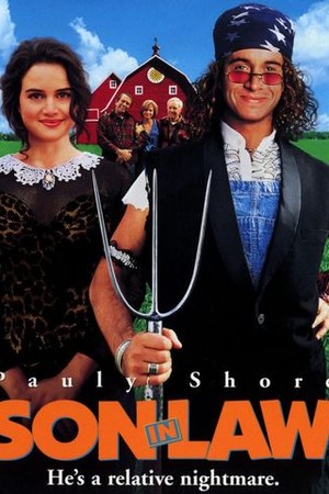 Son-in-Law poster