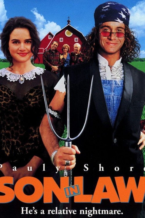 Son-in-Law poster