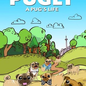 My rotten online pugs