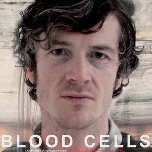 Blood Cells photo 3