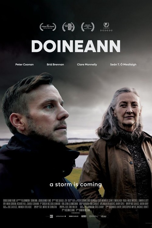 Doineann poster