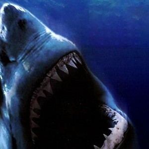 Shark Zone (2003) - Rotten Tomatoes