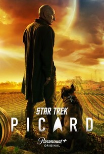 Star Trek Picard Season 1 Rotten Tomatoes