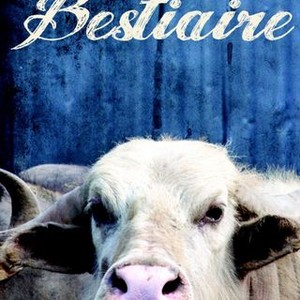 Bestiaire photo 10