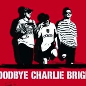 Goodbye Charlie Bright photo 5