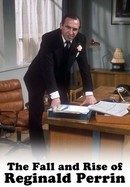 The Fall and Rise of Reginald Perrin poster image