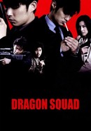 Dragon Squad poster image