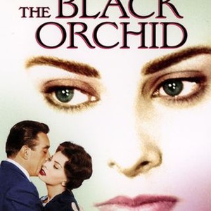 The Black Orchid (1959) photo 12