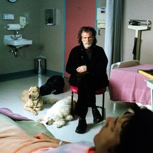 Eric Bana - Rotten Tomatoes