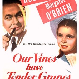 Our Vines Have Tender Grapes (1945) photo 6