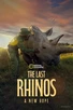 Poster for 