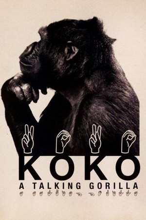 Koko: A Talking Gorilla poster