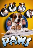 Paws poster image