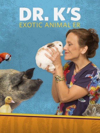 Dr k's exotic animal er best sale dr thielen
