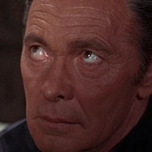 Shark! (1969) photo 7