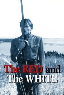 Watch trailer for The Red and the White