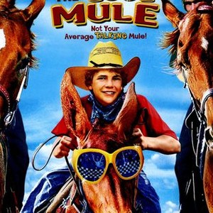 Tommy and the Cool Mule (2009) photo 3