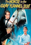 The Horse in the Gray Flannel Suit poster image
