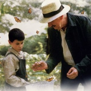Butterfly (1999) photo 5