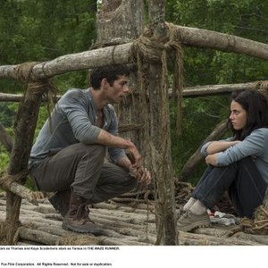 YJL's movie reviews: Movie Review: The Maze Runner