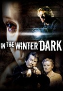 In the Winter Dark poster image