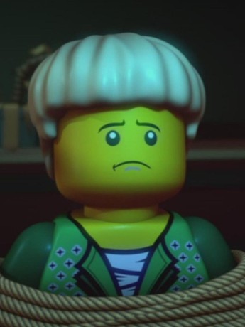 Lego ninjago deals double trouble