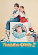 Problem Child 2 poster image