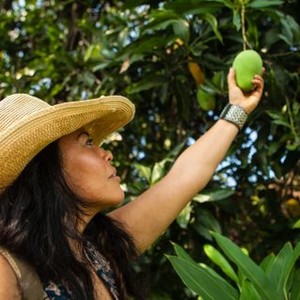 "The Fruit Hunters photo 11"