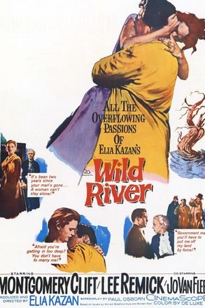 Wild River poster