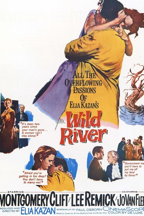 Wild River poster