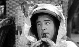 Abbott and Costello Meet the Mummy: Official Clip - Snake Charmer photo 7